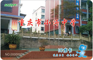 重慶市小沔中學校園直飲水